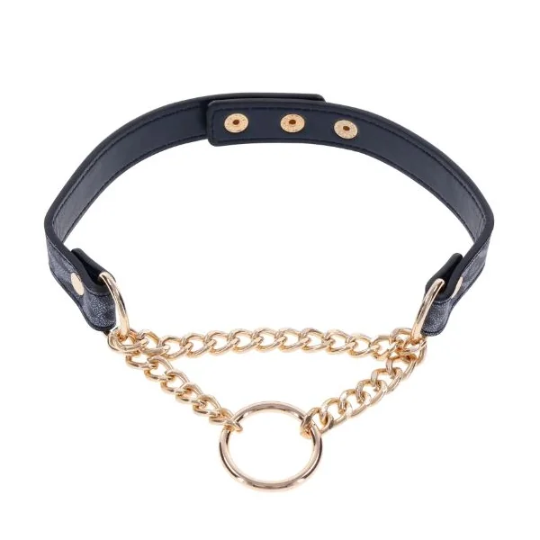 COUGAR DAY COLLAR