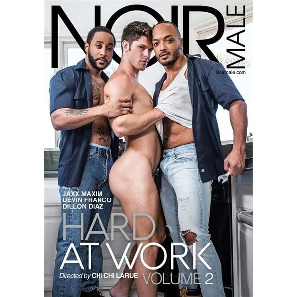 DVD - Hard At Work Vol. 2 - Noir Male