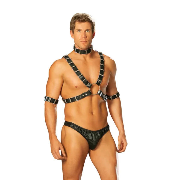 Elegant Moments 4 Piece Adjustable Harness, Set Includes Leather Harness, Arm Bands And Collar