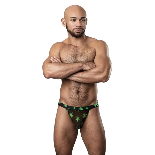 HAZY DAYZ JOCK POTLEAF S/M