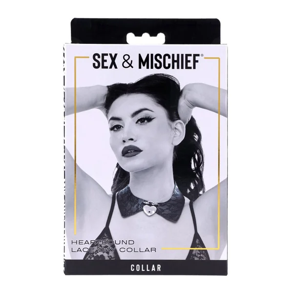 Heartbound Lace Day Collar