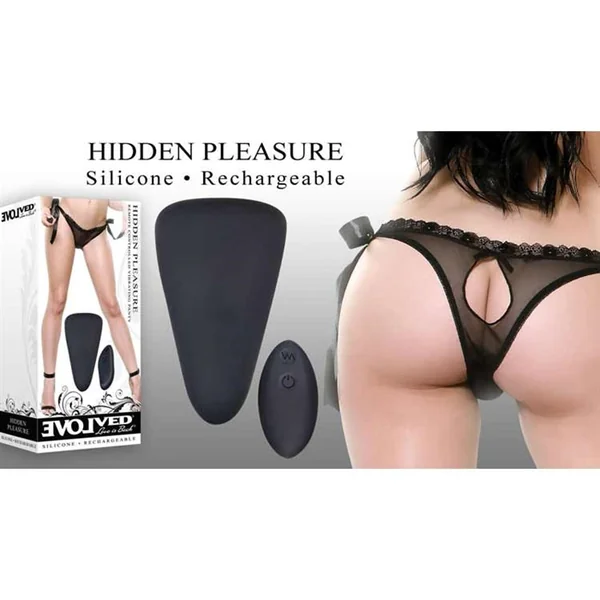 Hidden Pleasure Remote Vibrating Panty by Evolved