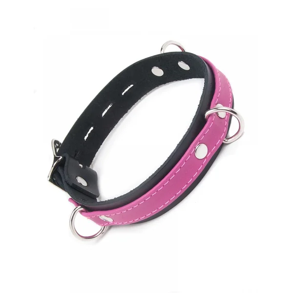 JOANNA ANGEL LOCKING BUCKLE COLLAR(out Aug)