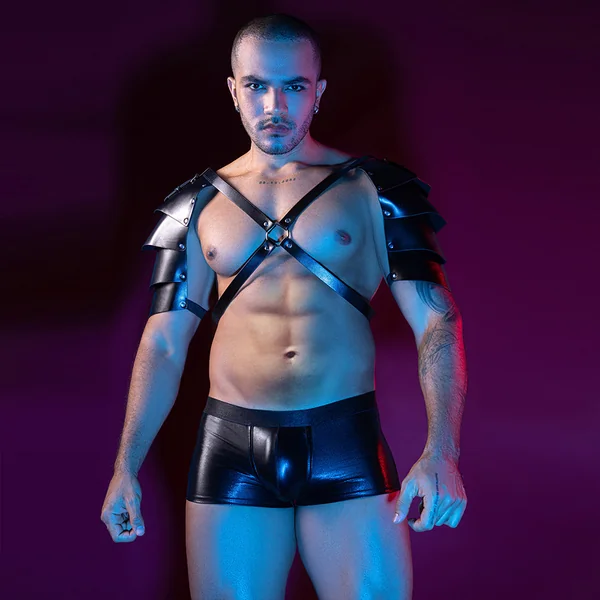 JSY – 2PC Set Leather Wing Harness