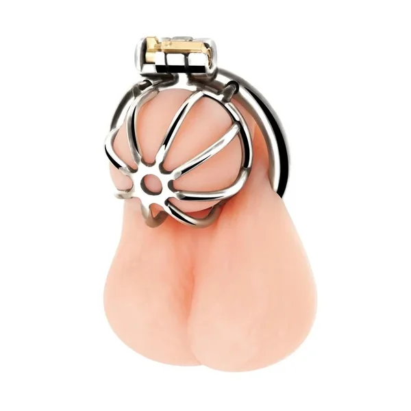 Little Cock Chastity Cage