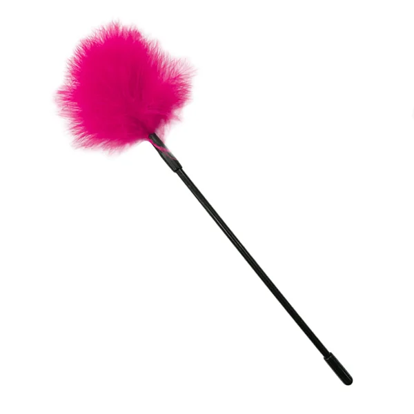 Love in Leather Feather Tickler