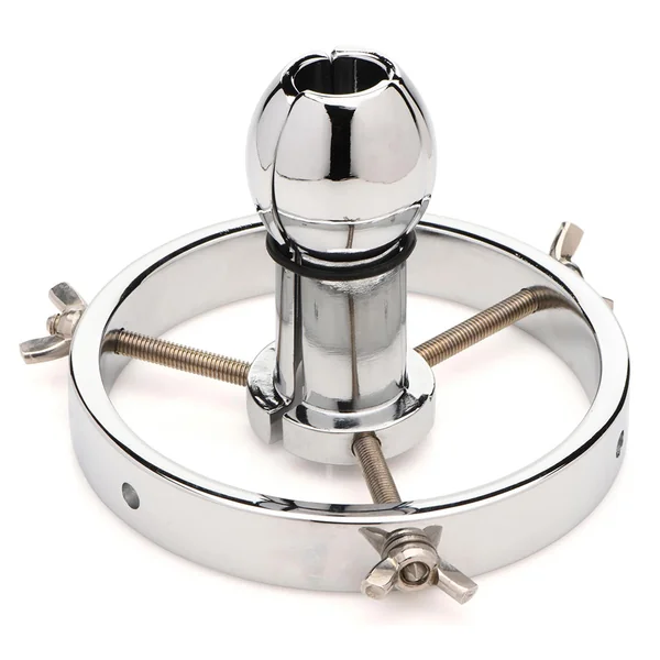 Master Series Forced Spread Stainless Steel Anal Explorer