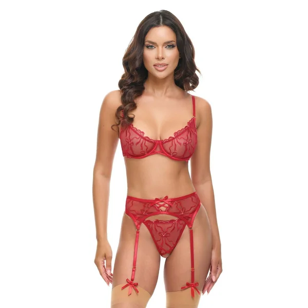 Oh La La Cheri Mariah Embroidered Lace and Mesh Underwire Bra 3 Piece Set