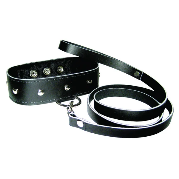 PREMIUM LEATHER LEASH & COLLAR