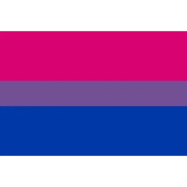 PRIDE - BISEXUAL FLAG BRACELET 90 X 150