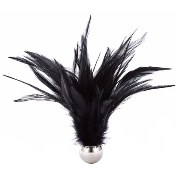 Roomfun Weighted Feather Tickler