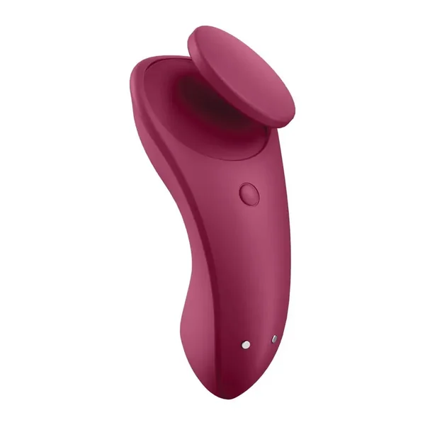Satisfyer Sexy Secret Smart Panty Vibrator