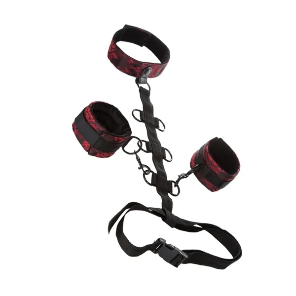 SCANDAL COLLAR BODY RESTRAINTS