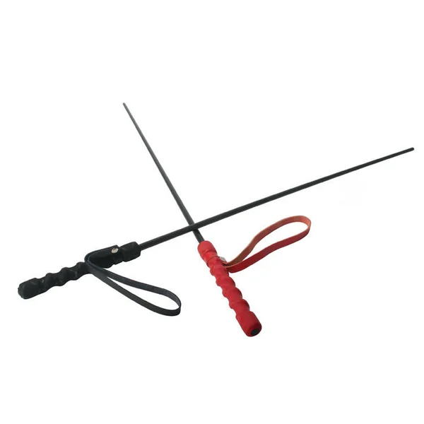 The BDSM Intense Impact Cane