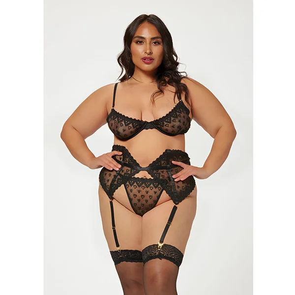 Valentines Heart Embroidered Mesh Bra, Waspie & Panty Black 3x/4x