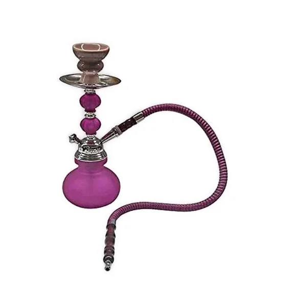 Zebra X1 Hose Hookah Neon