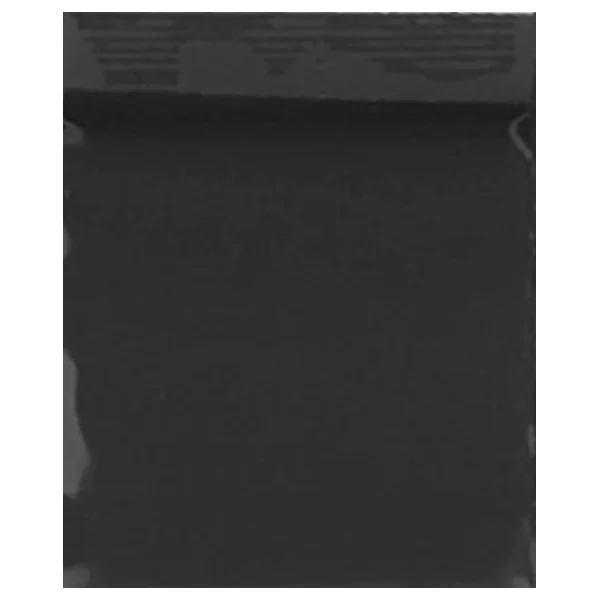 Zip Bags 2020 10/100PK 1000ct/BG Black